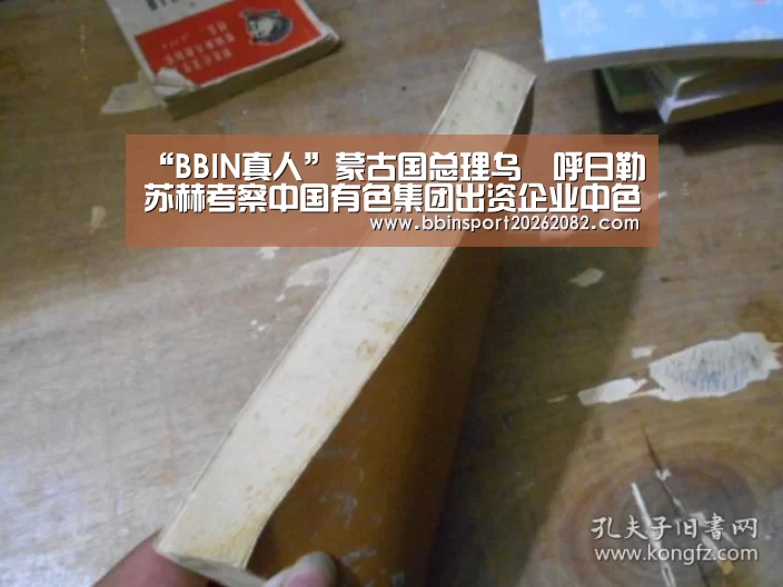 “BBIN真人”蒙古国总理乌•呼日勒苏赫考察中国有色集团出资企业中色股份所属鑫都矿业(图3) BBIN赛事