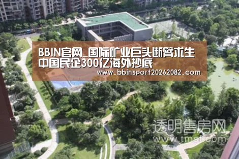 BBIN官网_国际矿业巨头断臂求生 中国民企300亿海外抄底(图2) BBIN赛事