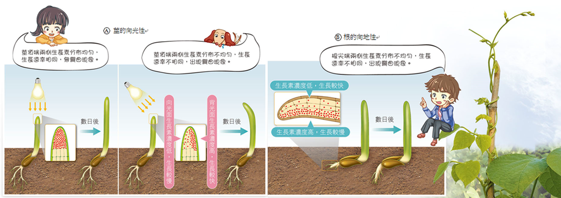 BBIN电竞