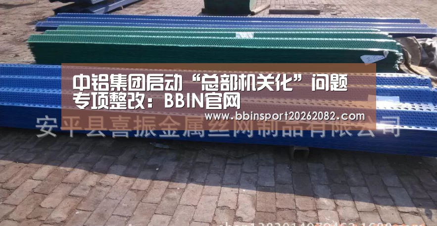 中铝集团启动“总部机关化”问题专项整改:BBIN官网(图4) BBIN真人